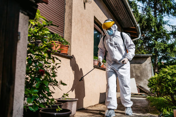 Best Termite Control Services  in Reno, NV