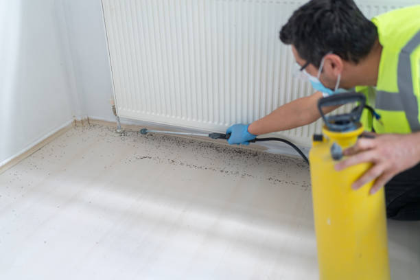 Best Wasp Removal Services  in Reno, NV
