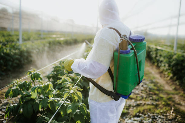 Best Insect Control  in Reno, NV